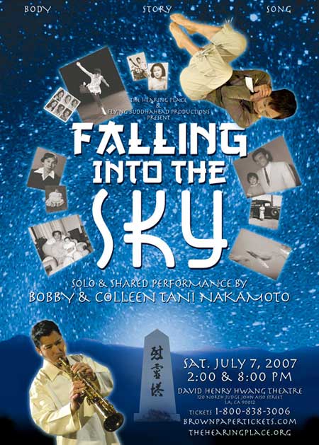 Falling Into the Sky poster